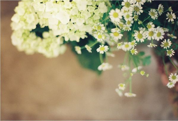 龙龟-风水吉祥物之吉祥